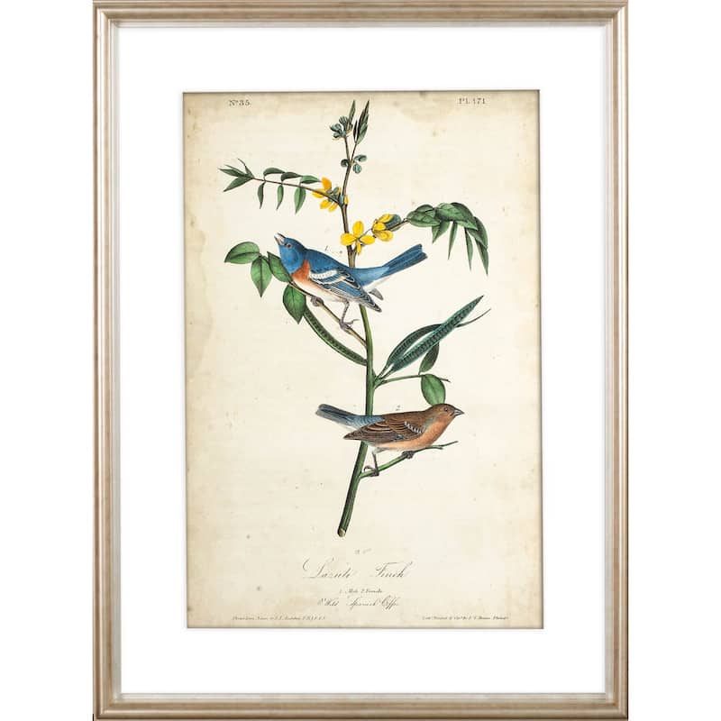 Delicate Bird and Botanical IV Framed Art Print