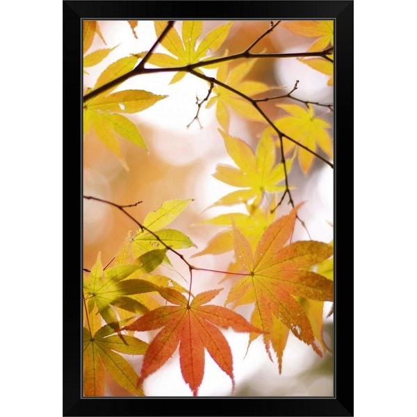 "Autumn leaves with blurred background." Black Framed Print