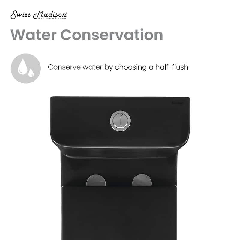Lucerne Two-Piece Elongated Rear Outlet Toilet Dual-Flush 0.8/1.28 Gpf In Matte Black - 25.2" x 14.7" 32.9"