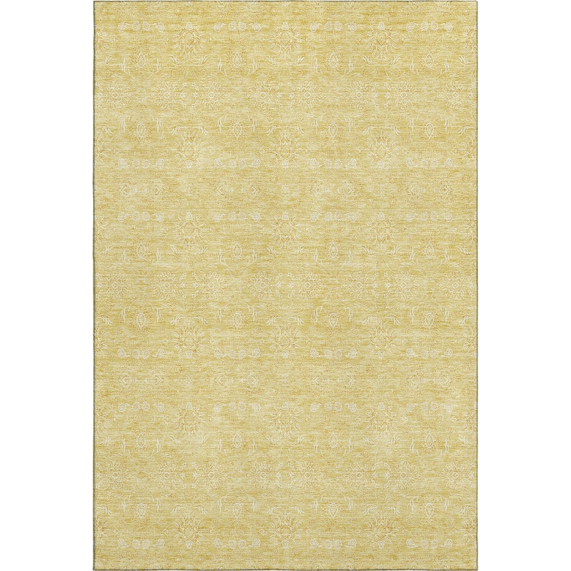 Premium Washable Super Soft Traditional Borderless Mayfield Rug