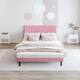 Option Full Pink