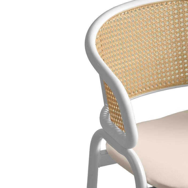 Euston Modern Mid-Century Leather Dining Chairs with Wicker Back in Steel Frame - Accent Armchair for Home Office & Kitchen