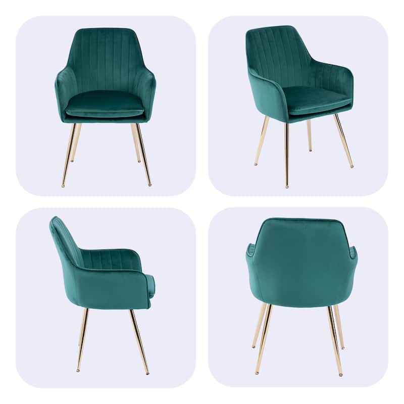 Velvet Dining Chair Set of 2 - Modern Mid-Back Accent Chairs with Gold Plated Legs - Upholstered for Living Room (Set of 2)