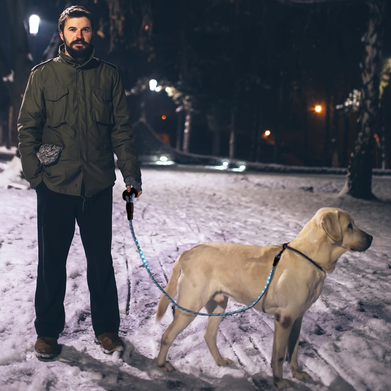 reflective dog leash