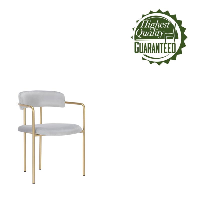 Porthos Home Eder Dining Chairs Set of 2, Velvet, Gold Chrome