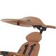 preview thumbnail 3 of 3, Evolur Cruise Rider Canopy in Cognac