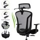 preview thumbnail 19 of 40, Ergonomic Mesh Executive Chair Home Office Chair with Lumbar Support, Headrest