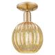 Option Champagne Bronze / Mercury Shade