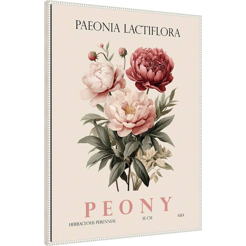 Vintage Botanical Peony Illustration by Christopher Giampietro Framed Canvas Wall Art Print