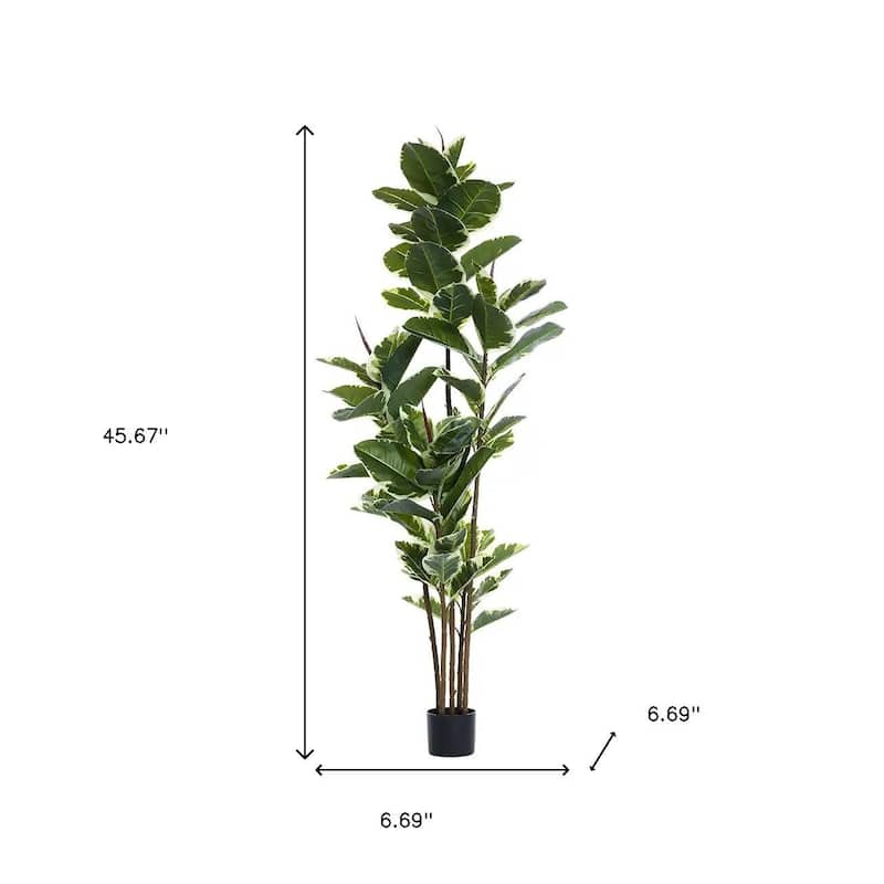HomeRoots 73" Green Artificial Rubber Tree in a Black Pot - 6.69 in. x 72.83 in. x 6.69 in.