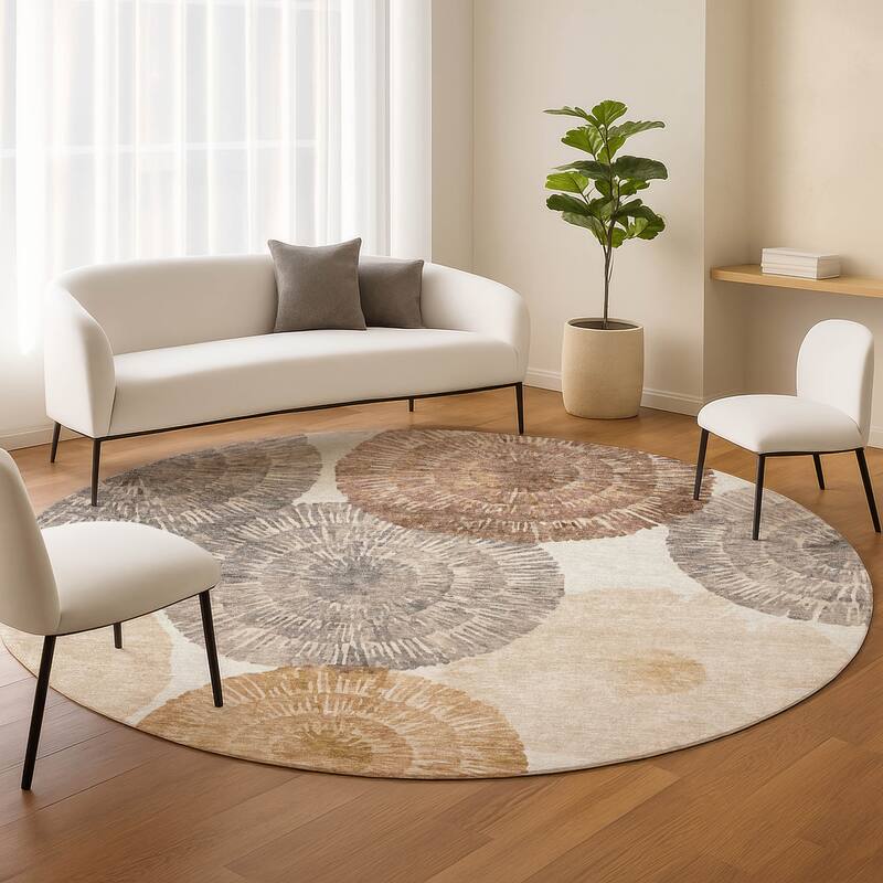 Machine Washable Indoor/ Outdoor Contemporary Devaughn Chantille Rug