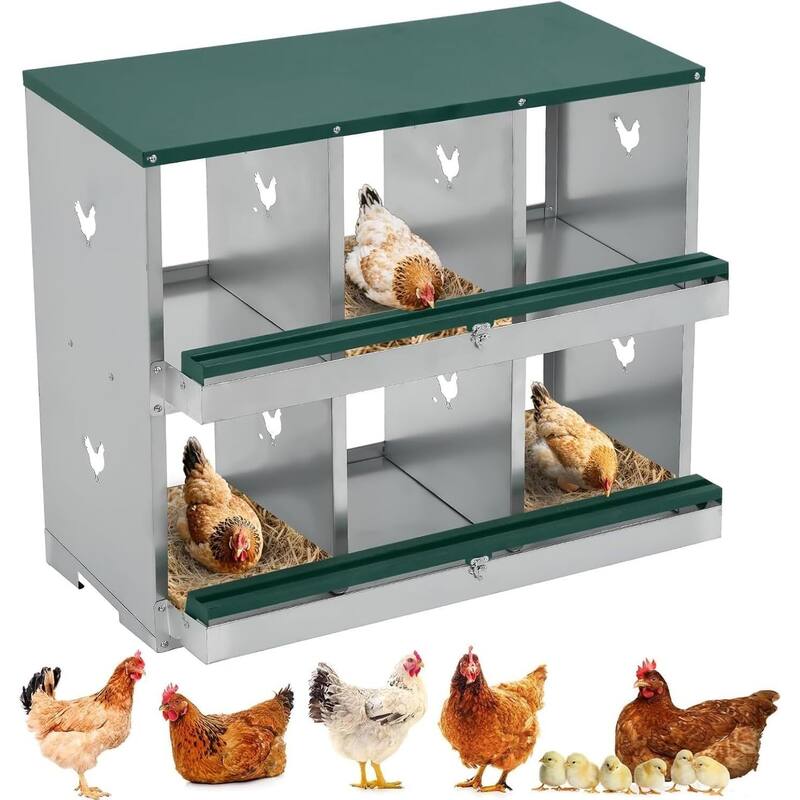 6 Compartment Nesting Box, Chicken Laying Box, Easy to Clean and Install - Green