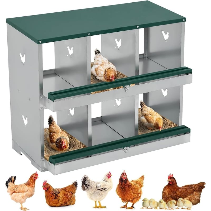 Wall-Mount or Free-Standing Metal Chicken Nesting Box for Backyard Coops, Green - Green 6 Compartments