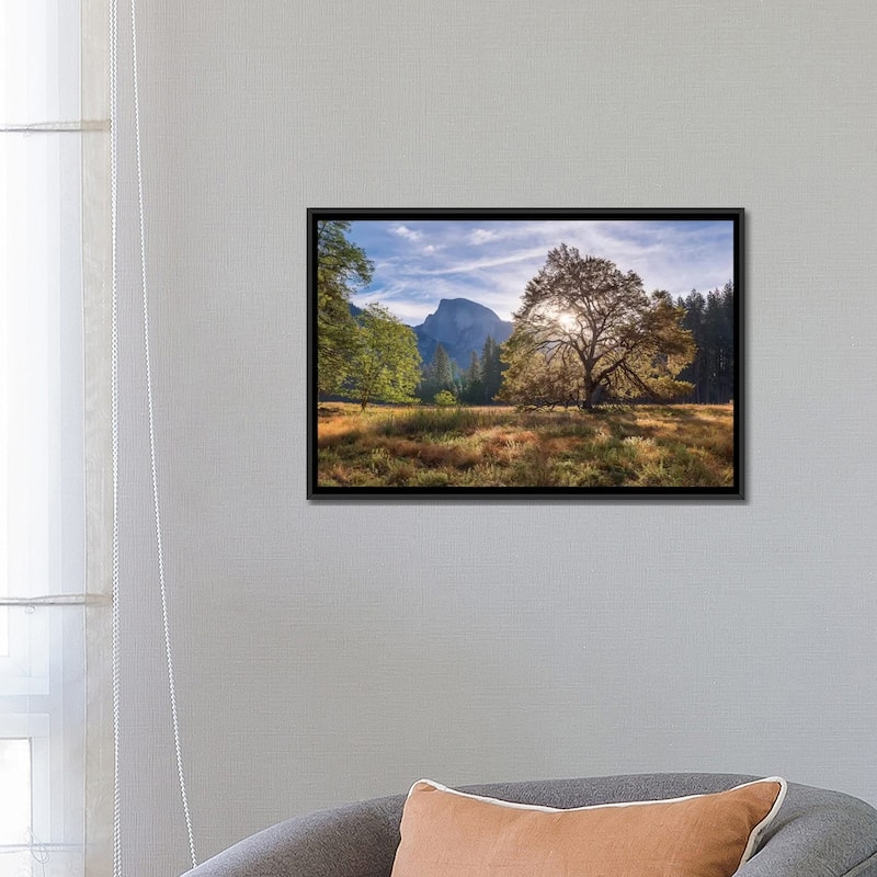 iCanvas "Cook's Meadow" by Adam Burton Framed Canvas Print