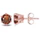 Option Rose