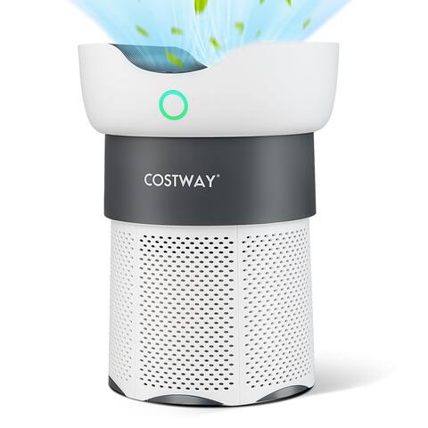 Costway Air Purifier for Home Office up to 1300 Sq Ft H13 True HEPA - See Details