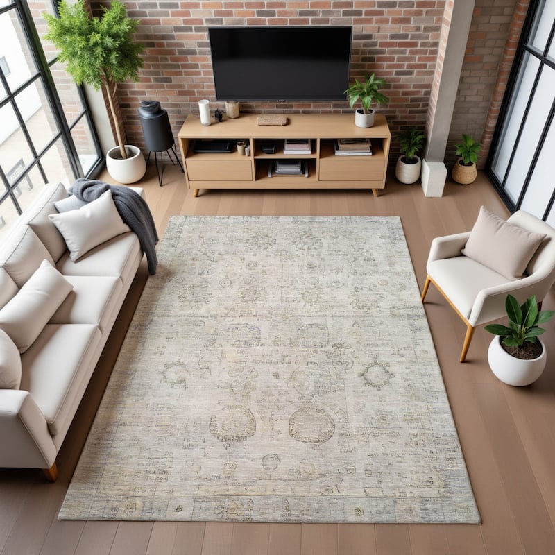 Premium Washable Super Soft Vintage Traditional Mayfield Rug