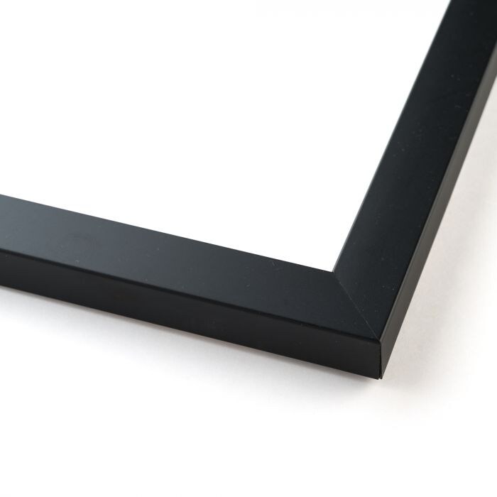Shop 8x9 Black Wood Picture Frame With Acrylic Front And Foam