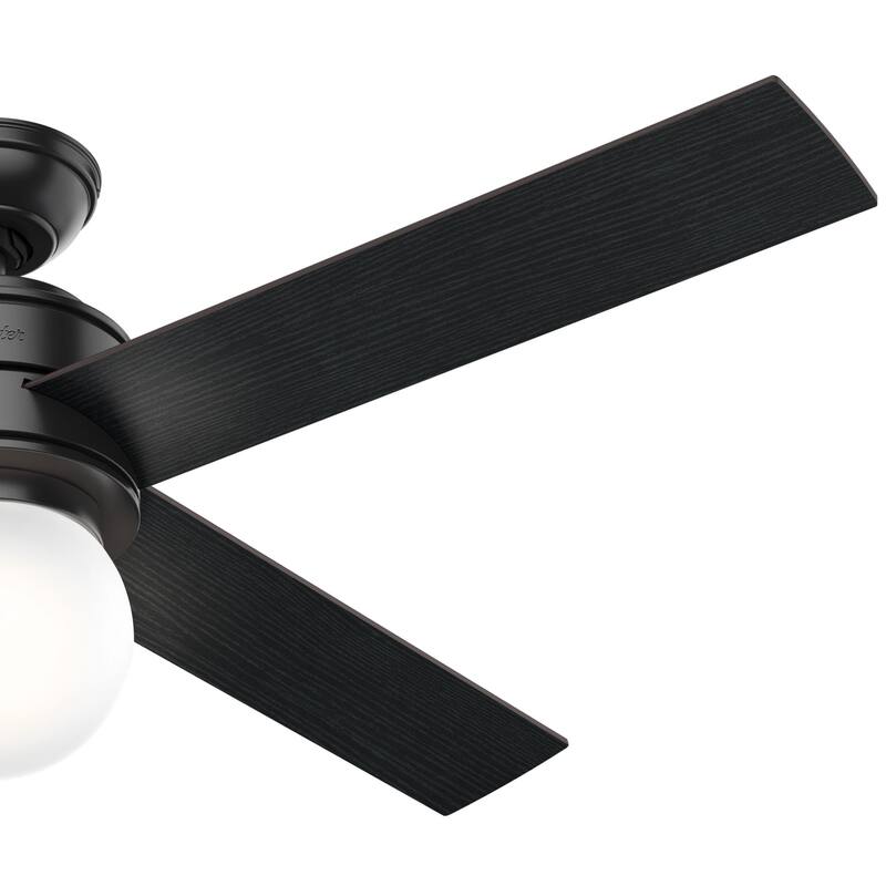 Hunter 52" Hepburn Ceiling Fan with LED Light Kit and Wall Control - Vintage, Mid-Century Modern, Transitional