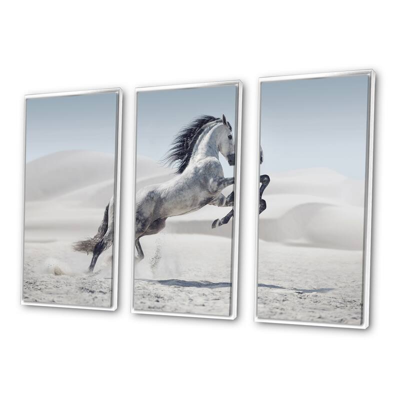 Designart "Galloping White Horse" Animal Framed Canvas Wall Art Set of 3 4 Colors of Frames