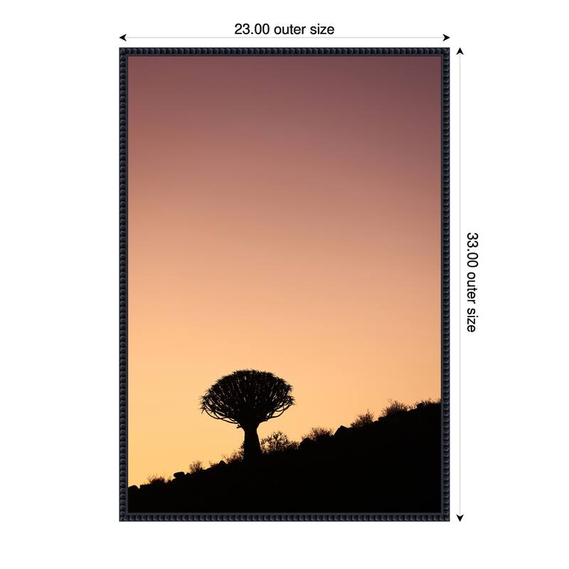 Quiver by Shot by Clint Framed Canvas Wall Art Print - 23 x 33 in