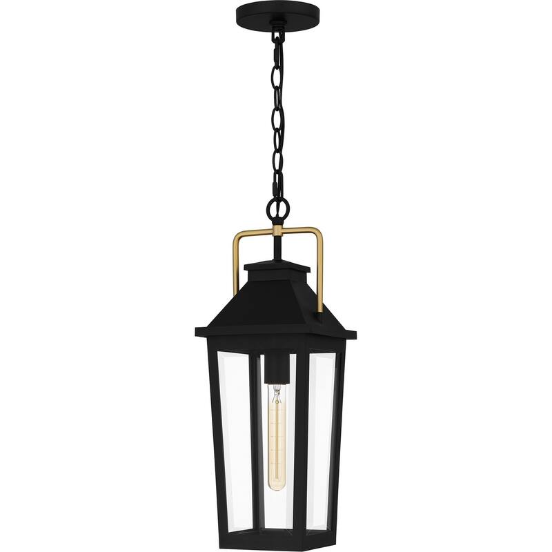 Buckley 1-Light Outdoor Hanging Lantern in Matte Black - Matte Black