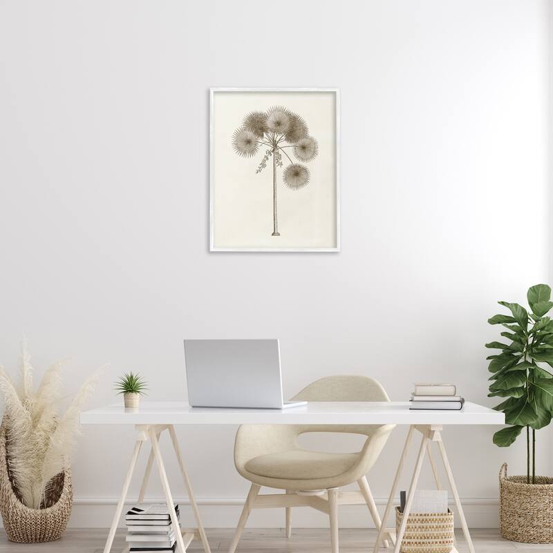 Stupell Vintage Study of Palm Tree Framed Giclee Art Design By Phillipa Katz