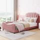 Option Pink