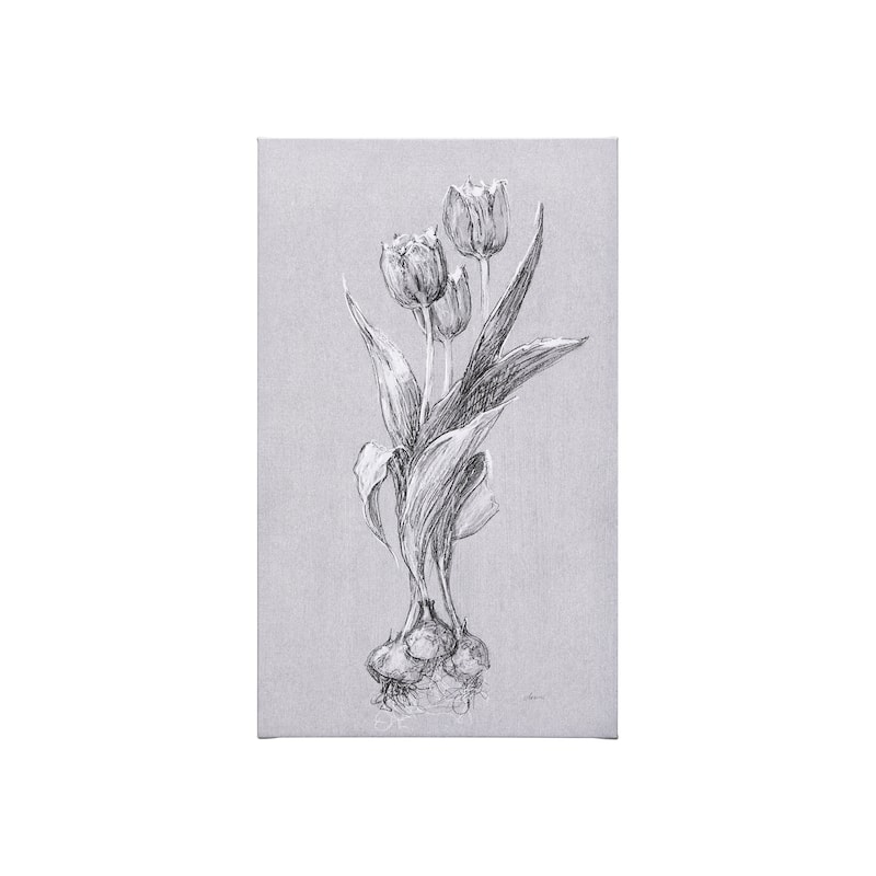 Botanical Sketches I (Grey) (21 x 35) Canvas Art Print - Small