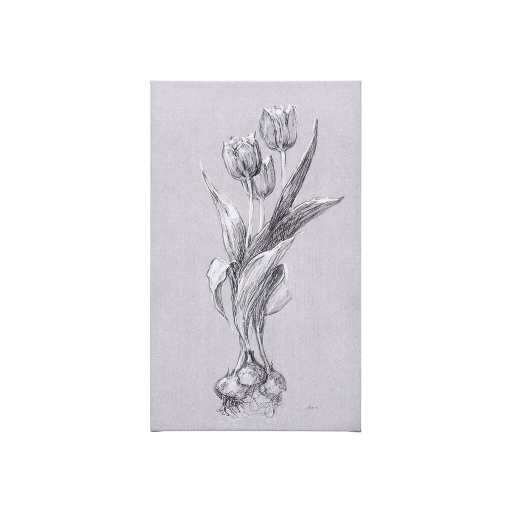Botanical Sketches I (Grey) (21 x 35) Canvas Art Print