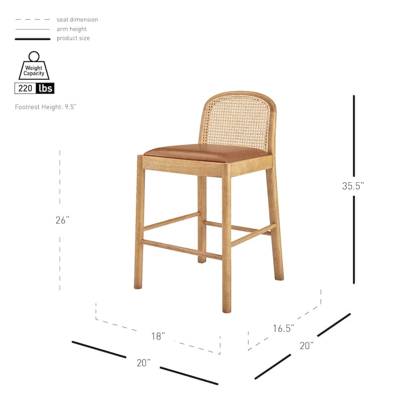 NPD Furniture Donna Faux Leather Rattan Counter Stool (Set of 2)