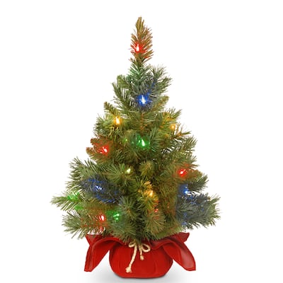 National Tree Company 2 Ft Artificial Christmas Majestic Fir w/ Colored Lights - 2.82