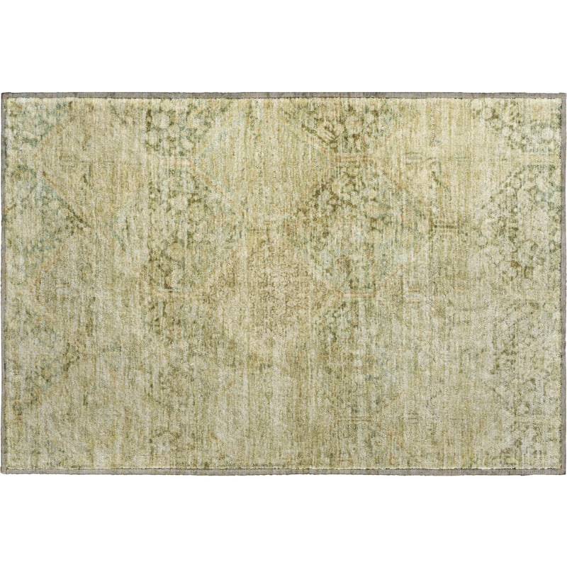 Premium Washable Super Soft Vintage Traditional Mayfield Rug