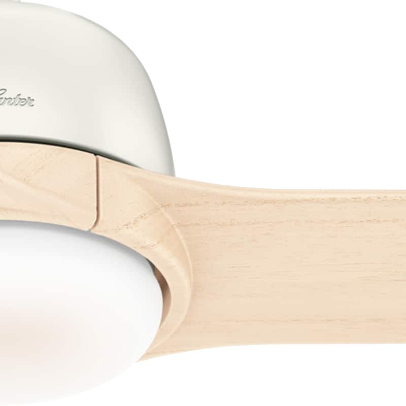 Hunter 54" Norden Ceiling Fan with LED Light Kit and Handheld Remote - Transitional, Modern, Contemporary