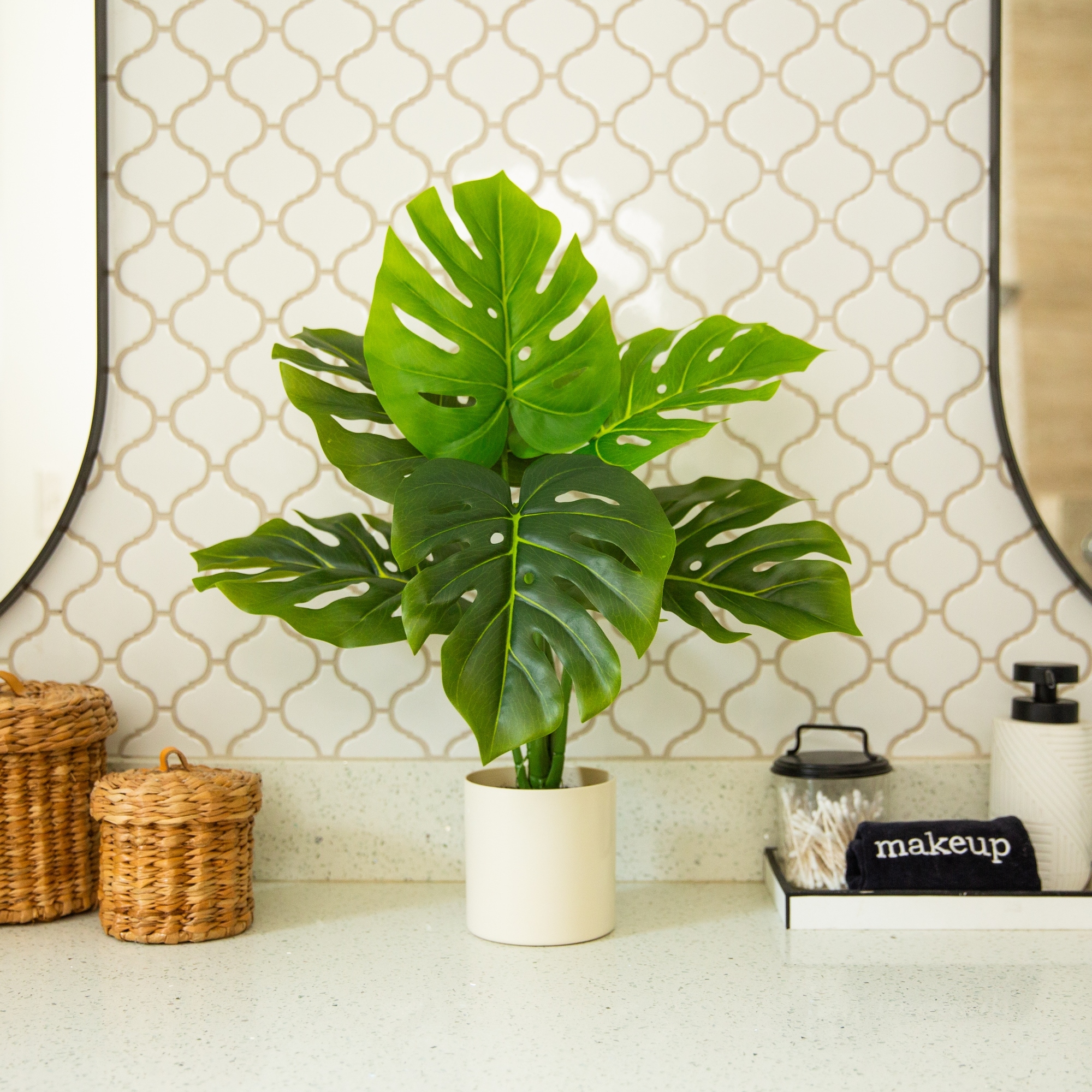 philodendron hederaceum Philodendron scandens Lemon Lime main image 1