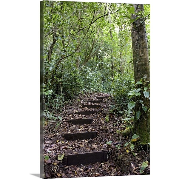 "Steps ascending on path, Tropical Cloud Forest, Costa Rica" Canvas Wall Art