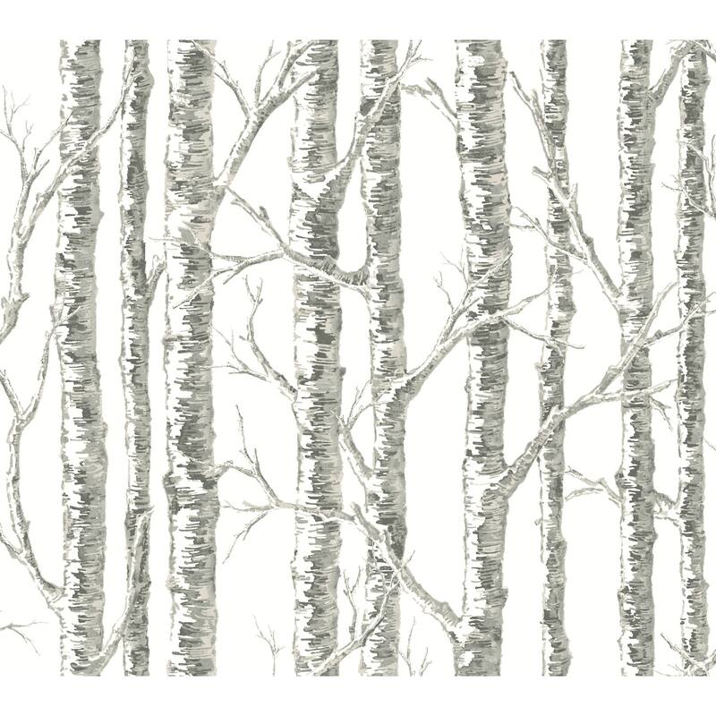 Inspired by Color Paper Birch White & Grey Wallpaper