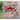 Lush Decor Marina Tropical Floral Indoor/Outdoor Rug