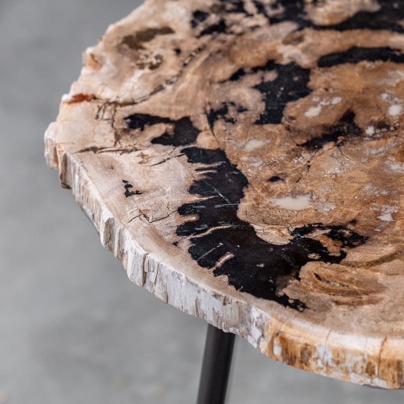 Uttermost Mircea 16" Wide Cross Section Petrified Wood Accent Table by