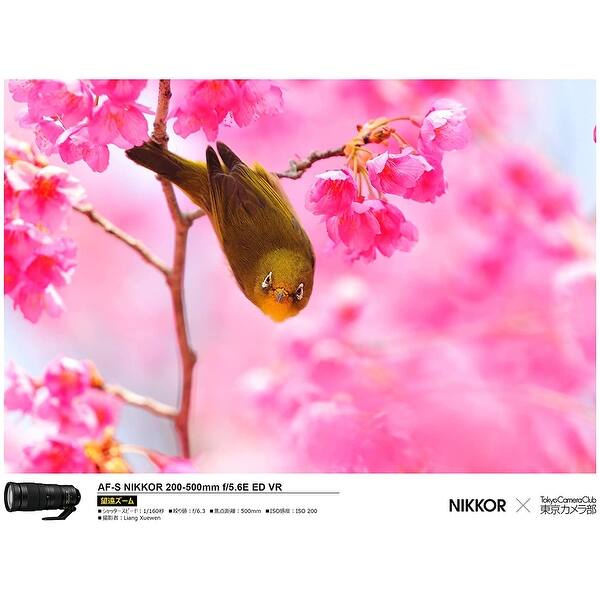 Nikon Af S Nikkor 0 500mm F 5 6e Ed Vr Lens For Nikon Dslr Digital Overstock