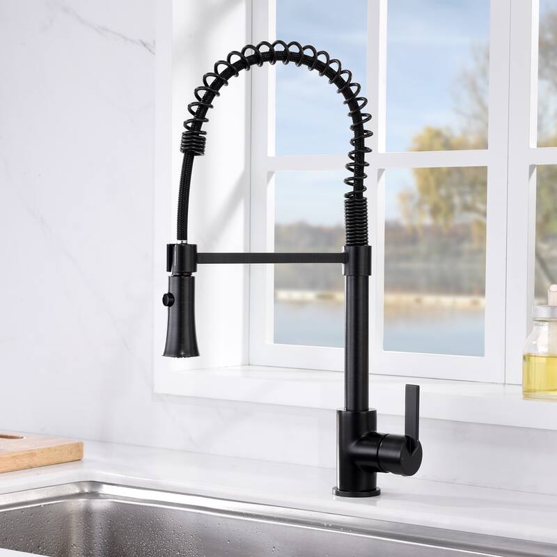 Luxier KTS13 Single Handle Pull Down Sprayer Kitchen Faucet