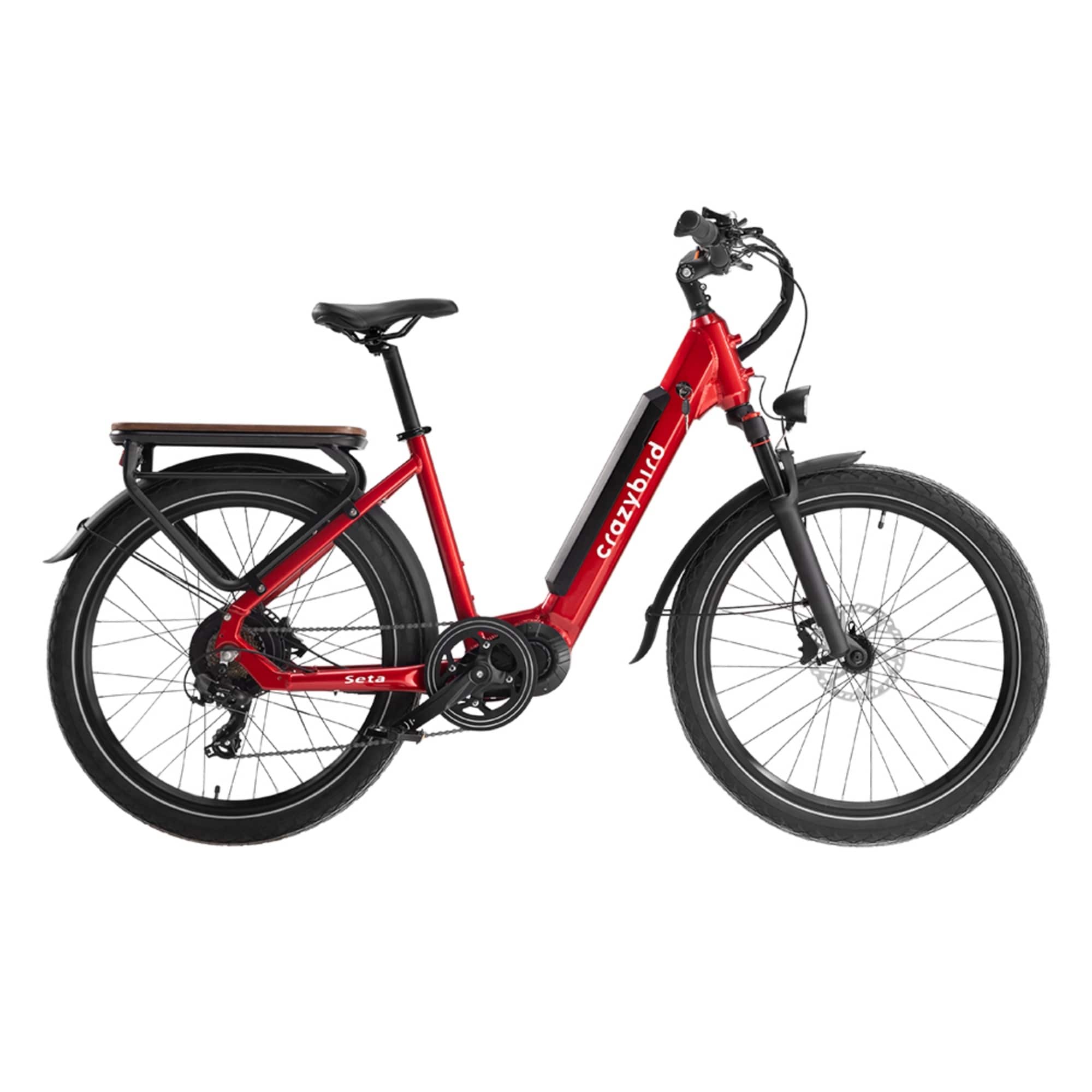 1000W 48V 14Ah E-Bike, 7 Speed Electric Bicycle