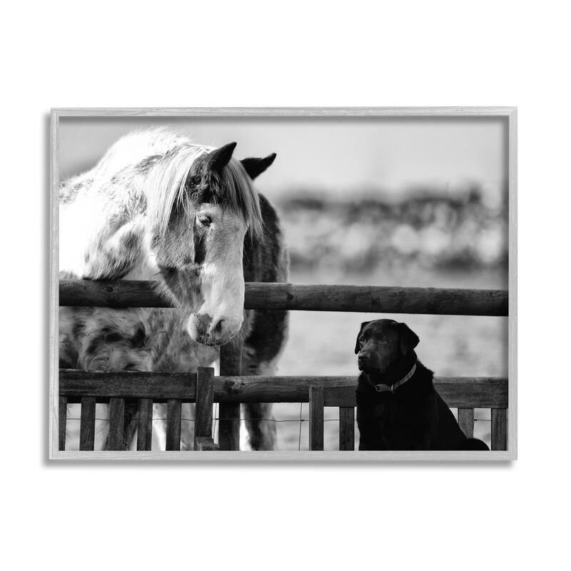 Stupell Dog & Horse Farm Animal Friends Monochrome Photography Framed Wall Art, Design by James Dobson - 30 x 24 - Grey
