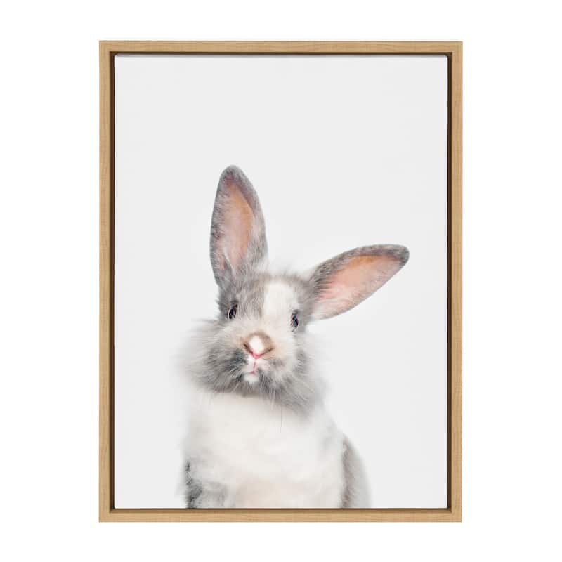 Sylvie M Baby Bunny Rabbit Animal Print Framed Canvas by Amy Peterson