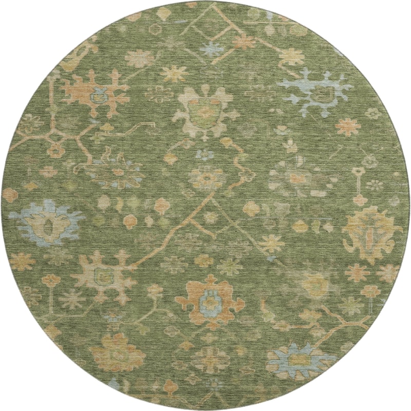 Premium Washable Super Soft Farmhouse Traditional Mayfield Rug