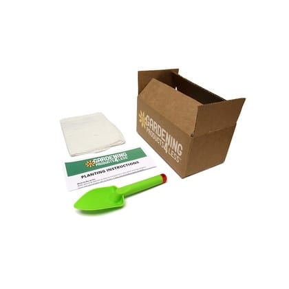 Shop Hummingbird Pre Seeded Flower Mat 3 Pack With Garden Shovel