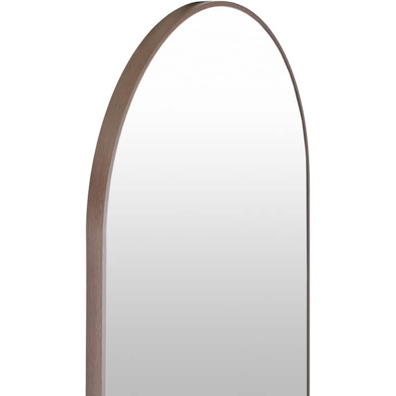 Livabliss Aranya Modern Aluminum Oval Pill-Shaped Accent Mirror
