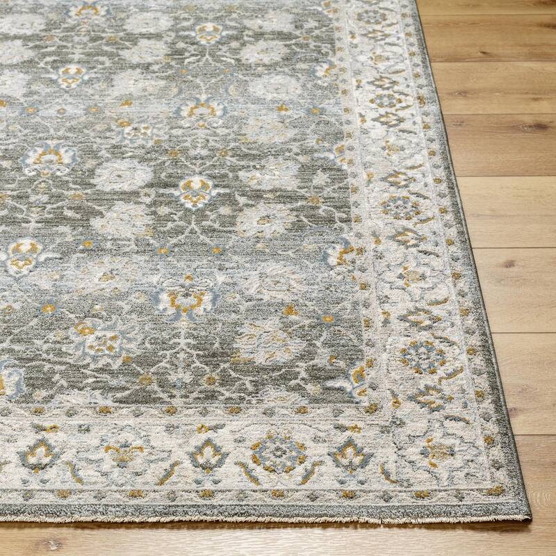 Livabliss Dresden Transitional Area Rug