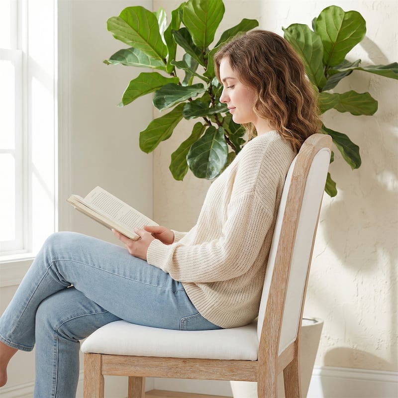 Set of 4 Vintage Style Dining Chairs for Dining Room