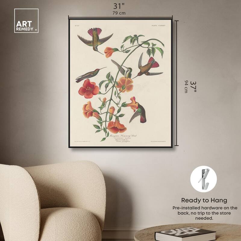 Humming Bird 1834 Canvas by Art Remedy